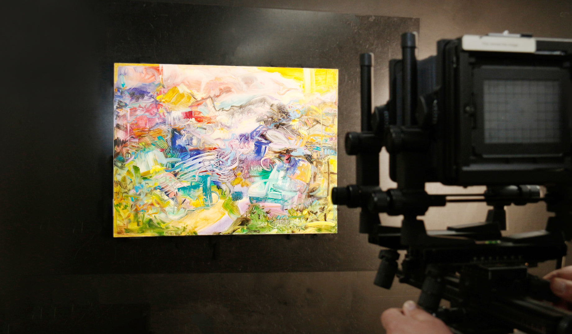 With our advanced digital scan-back camera and lighting equipment, we can capture artwork at any size and produce high-resolution files with precise color accuracy across the entire tonal range.