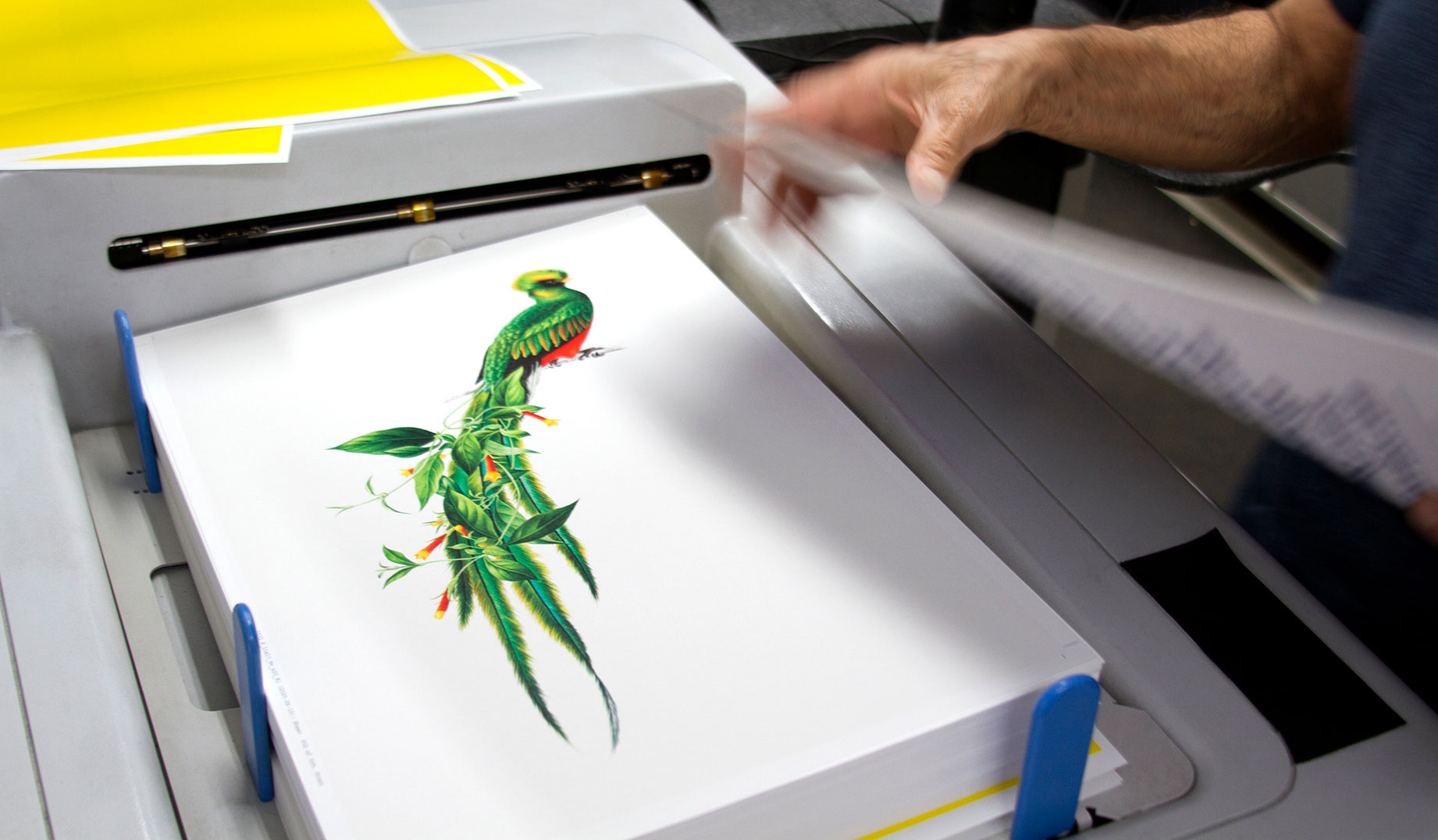 All prints are produced locally in our shop in the heart of Los Angeles, where we've been since 1976.