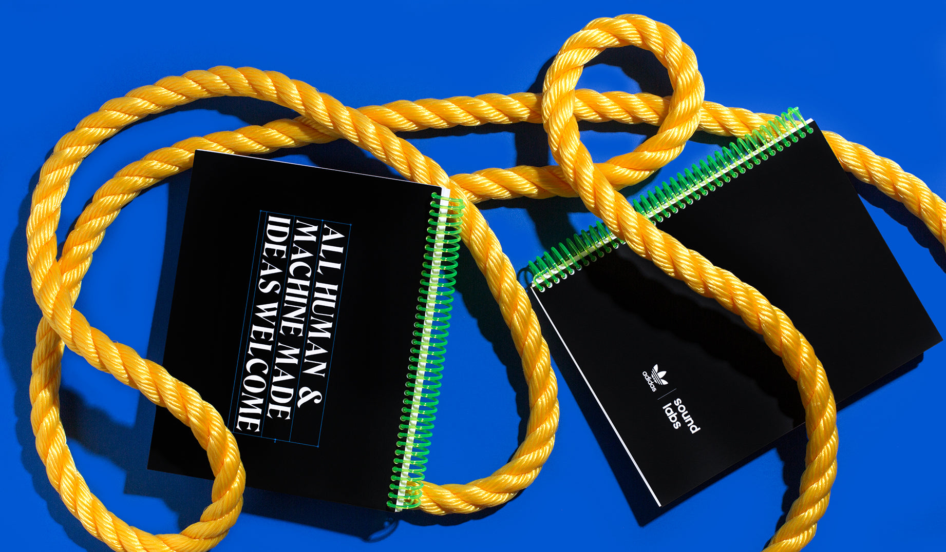Our team of experts knows how to bring your vision to life, in book form.