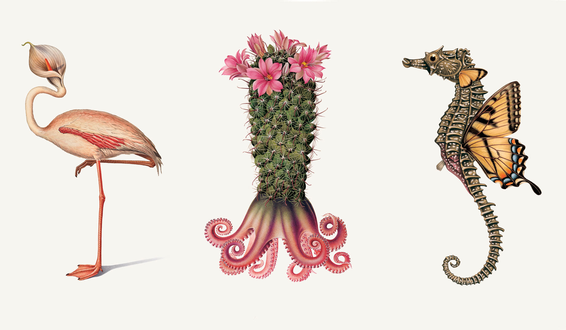 Effectivae Managerum (flamingo), Maximus Designex (cactus), and Innovato Ideatis (seahorse)